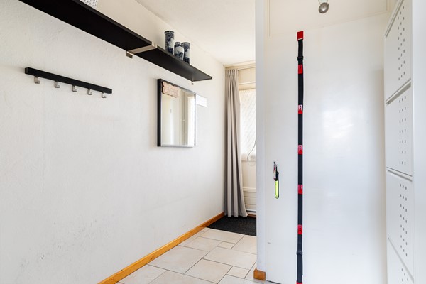 Albert Schweitzererf 6_09.jpg